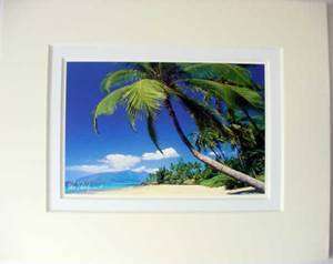 Palm Tree Kamaole Beach Matted Print 8 x 10 NEW  