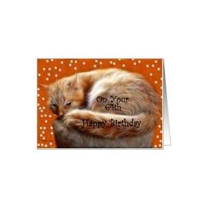    Birthday ~ Year Specific 64th ~ Fluffy Cat Card Toys & Games