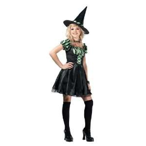  Lime Stripe Witch Pre Teen Costume Toys & Games