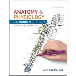  Anatomy and Physiology Coloring Workbook By Elaine Nicpon 