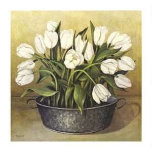 White Tulips Poster Print 