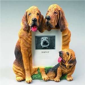 Bloodhound DOG Photo Frame (3 1/2x5)