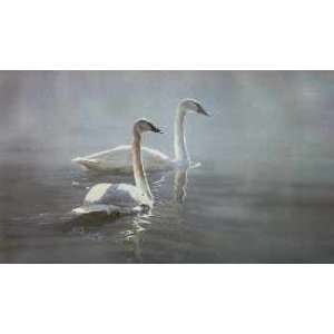   Terry Isaac   Light and Mist Trumpeter Swans