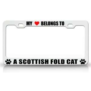 MY HEART BELONGS TO A SCOTTISH FOLD Cat Pet Auto License Plate Frame 