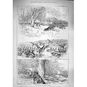  1890 Duck Shooting Longford Castle Hunting Sport: Home 