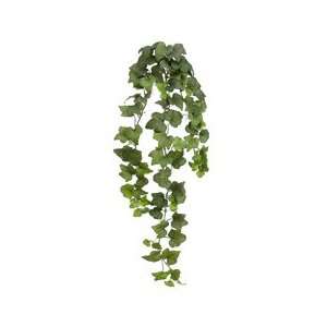  31 Natural Hedera Ivy Bush Vine x3 Green (Pack of 6)