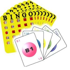  25 Card Bingo Set w/Bingo Deck Toys & Games