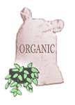  non hybrid non gmo seed bank search organic vegetable seeds non 