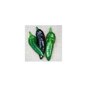  Peppers   Anaheim TMR Hot Peppers Seeds: Patio, Lawn 