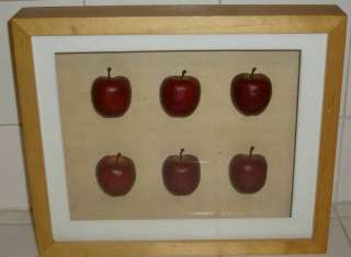 Primitive Americana Apple Themed SHADOW BOX Pine Frame  