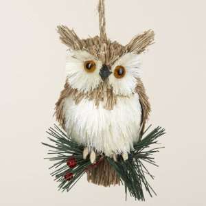  Club Pack of 18 Natural Owl on Pine Sprig Christmas 