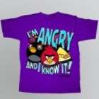 Angry Birds Plugg Boys Tops Know It Short Sleeve T Shirt Purple