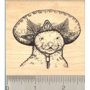   Ferret in Mexican Sombrero Rubber Stamp: Arts, Crafts & Sewing