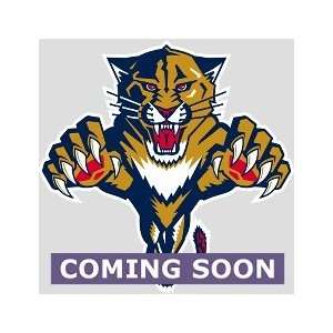  Florida Panthers Logo, Florida Panthers   FatHead Life 