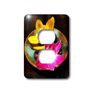   Flowers   Painted Orchids   Light Switch Covers   2 plug outlet cover