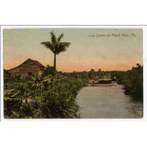  Reprint Scene on Miami River, Fla