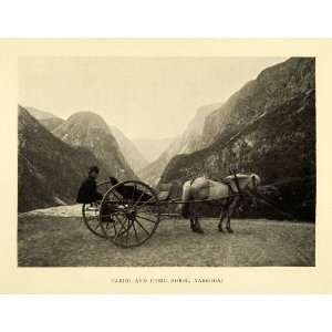  1907 Halftone Print Cariol Fjord Horse Wagon Wheel 