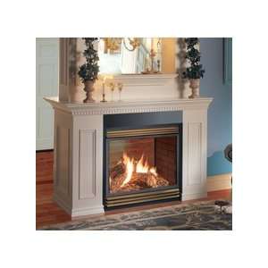  BGD40N2 See Thru Direct Vent Gas Fireplace Finishing 