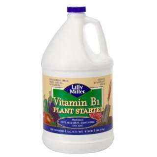 Lilly Miller 1 gal. Vitamin B 1 Plant Starter 100099261 at The Home 