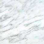    Greecian White 12 in. x 12 in. Honed Marble Floor & Wall 
