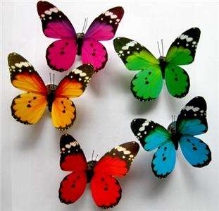 Colors Butterfly Wedding Favor/ Home Decoration NEW  