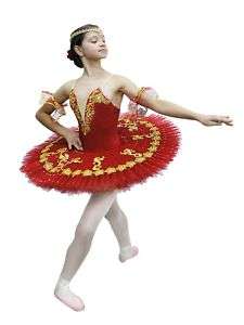 Stage ballet tutu for adults F 0002(543)  