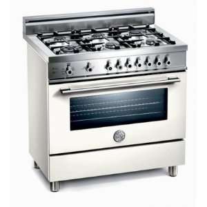 X36 6 GGV BI Professional Series 36 Pro Style Natural Gas Range with 