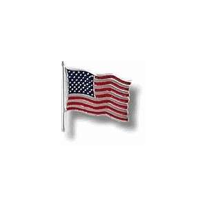  American Flag Lapel Pin 14K White Gold Large: Everything 