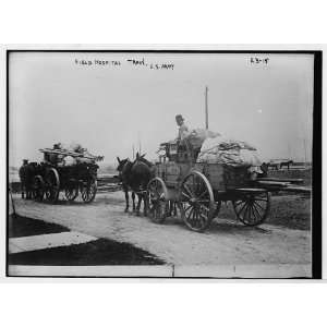  Photo Horse drawn wagons of Field Hospital train, U.S 