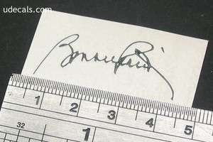 Bonnie Raitt Signature Decal Waterslide For Guitar  