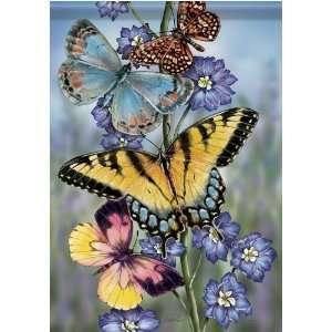  Colorful Monarch Butterfly Delphinium Double Sided Garden 