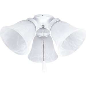  AirPro White Ceiling Fan Light Kit: Home Improvement
