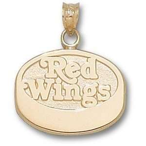  Detroit Red Wings Puck Charm/Pendant: Sports & Outdoors