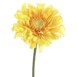 Club Pack of 12 Artificial Two Tone Yellow Gerbera Daisy Silk Flower 
