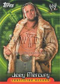 2006 WWE SUPERSTARS subset of 60 cards TOPPS   Insider  