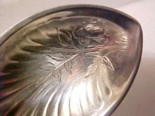 ANTIQUE 1800s GORHAM SOLID STERLING ~ SHELL BOWL SUGAR SPOON FLORAL 