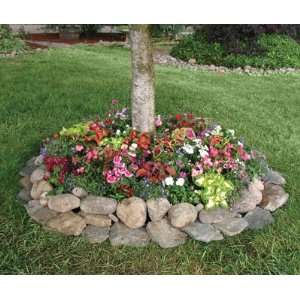   plant and grow. Instant garden mat for flowering bushes. SEEDS OF