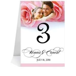  Photo Table Number Cards   Pink Rose Twins #1 Thru #33 