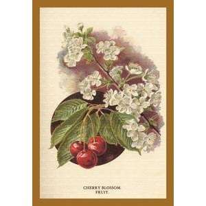  Vintage Art Cherry Blossom Fruit   17636 9
