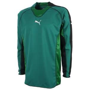  PUMA Mens Soccer Goalkeeper Jersey Shirt  70018102: Sports 