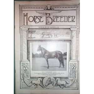  American Horse Breeder Vol. XXXVIII No. 45 November 10 