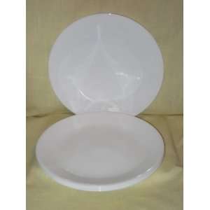   Livingware 10 Inch Dinner Plates, Winter Frost White 